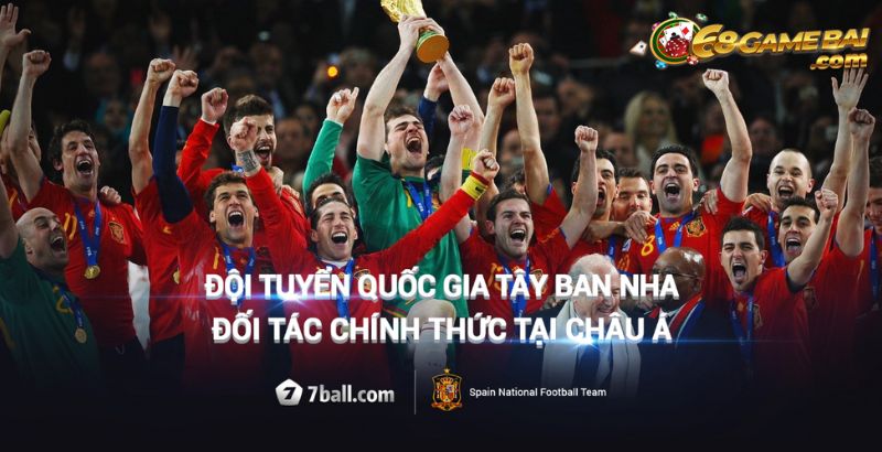 7ball và một số khái niệm cần chú ý