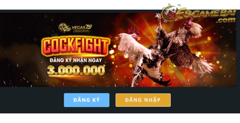 Nhà Cái Vegas79 - Liệu có phải sân chơi số 1 hiện nay? 6 Đá gà cực gay cấn tại Vegas79