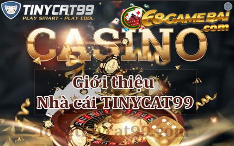 Sức hấp dẫn không thể chối bỏ từ nhà cái Tinycat99