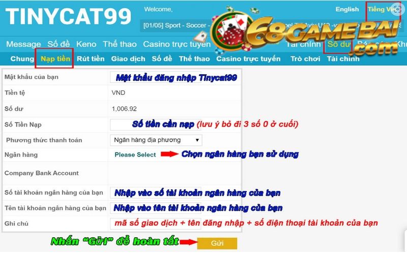 Nạp tiền tại Tinycat99 sao cho đúng