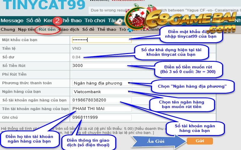 Điền số tiền bạn cần rút vào form rút tiền của nhà cái Tinycat99