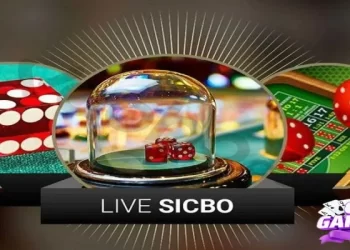 Cách chơi sicbo chuẩn, hướng dẫn cược đúng quy tắc